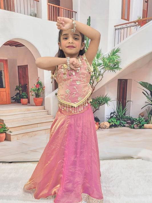 Pink Designer Chaniya Choli for Girls | Premium Cotton Lehenga Choli | Navratri & Festive Wear (1–14 Years)